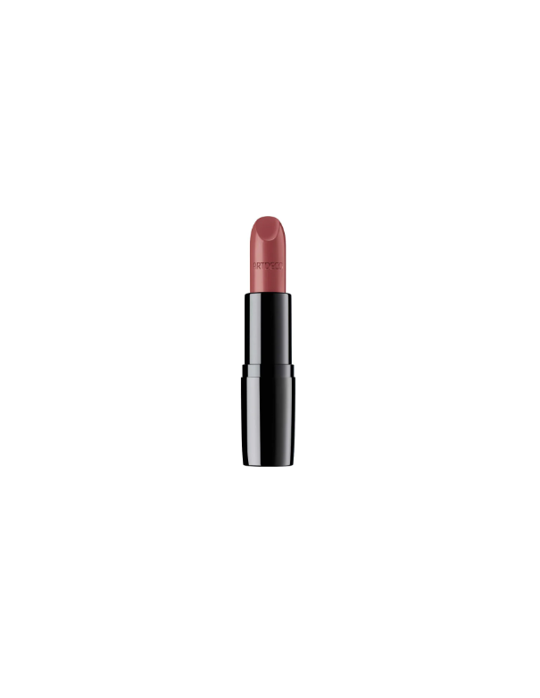 PERFECT COLOR LIPSTICK 829